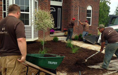 Landscape Design & Installation