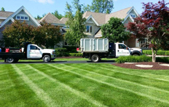 Lawn & Landscape Maintenance